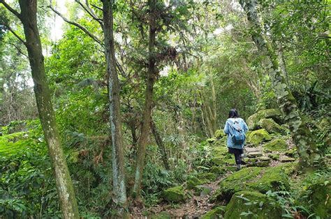 大山背鬧鬼|新竹橫山景點｜大山背大崎崠登山步道360度視野半日遊 – 17jump 